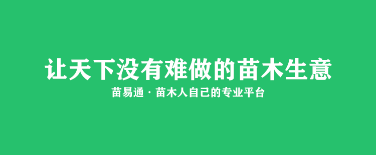 首页轮播图2